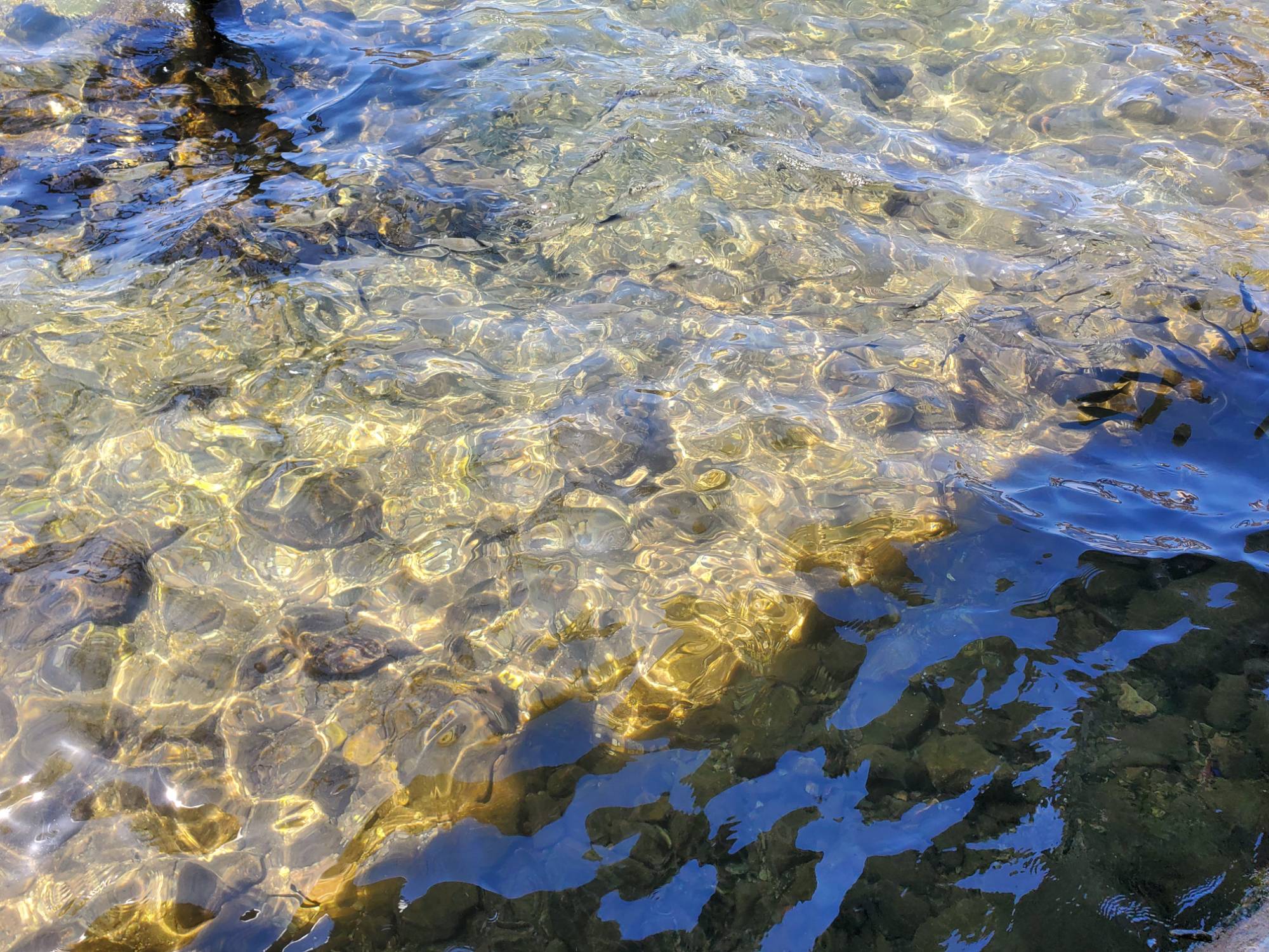 Rocks and fish in seawater